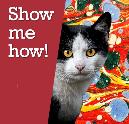 half an image of a cat half the text show me how on a red background